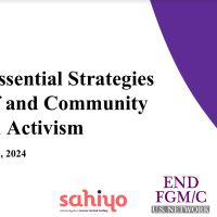 Reflecting on The 4 Essential Strategies for Self and Community Care in Activism Event with Farzana Doctor 